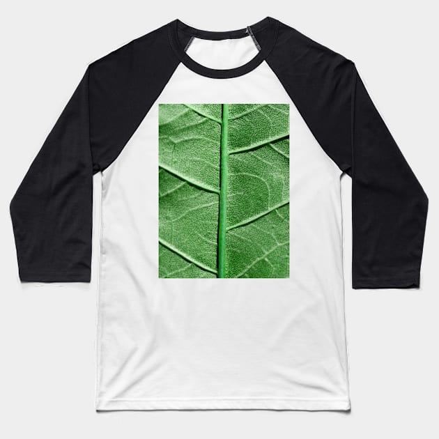 Veined Green Leaf Baseball T-Shirt by BonniePhantasm